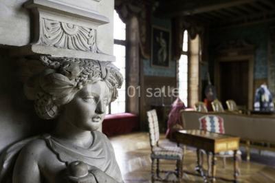Miniature Location salle Thoiry (Yvelines) - L'Orangerie du Château de Thoiry #10 Peinture de mains et flèche blanche sur un tronc d'arbre dans un parc enneigé, avec des arbres en arrière-plan.