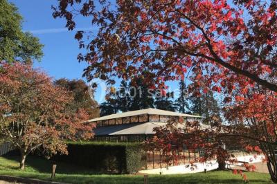 Miniature Location salle Thoiry (Yvelines) - L'Orangerie du Château de Thoiry #6 Peinture de mains et flèche blanche sur un tronc d'arbre dans un parc enneigé, avec des arbres en arrière-plan.