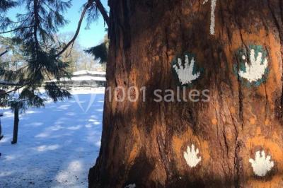 Miniature Location salle Thoiry (Yvelines) - L'Orangerie du Château de Thoiry #12 Peinture de mains et flèche blanche sur un tronc d'arbre dans un parc enneigé, avec des arbres en arrière-plan.