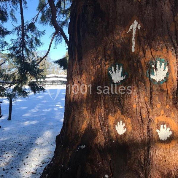 Peinture de mains et flèche blanche sur un tronc d'arbre dans un parc enneigé, avec des arbres en arrière-plan.