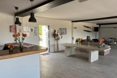 Quatre femmes pratiquant le yoga en posture de l'arbre sur des tapis colorés dans un espace extérieur herbeux.