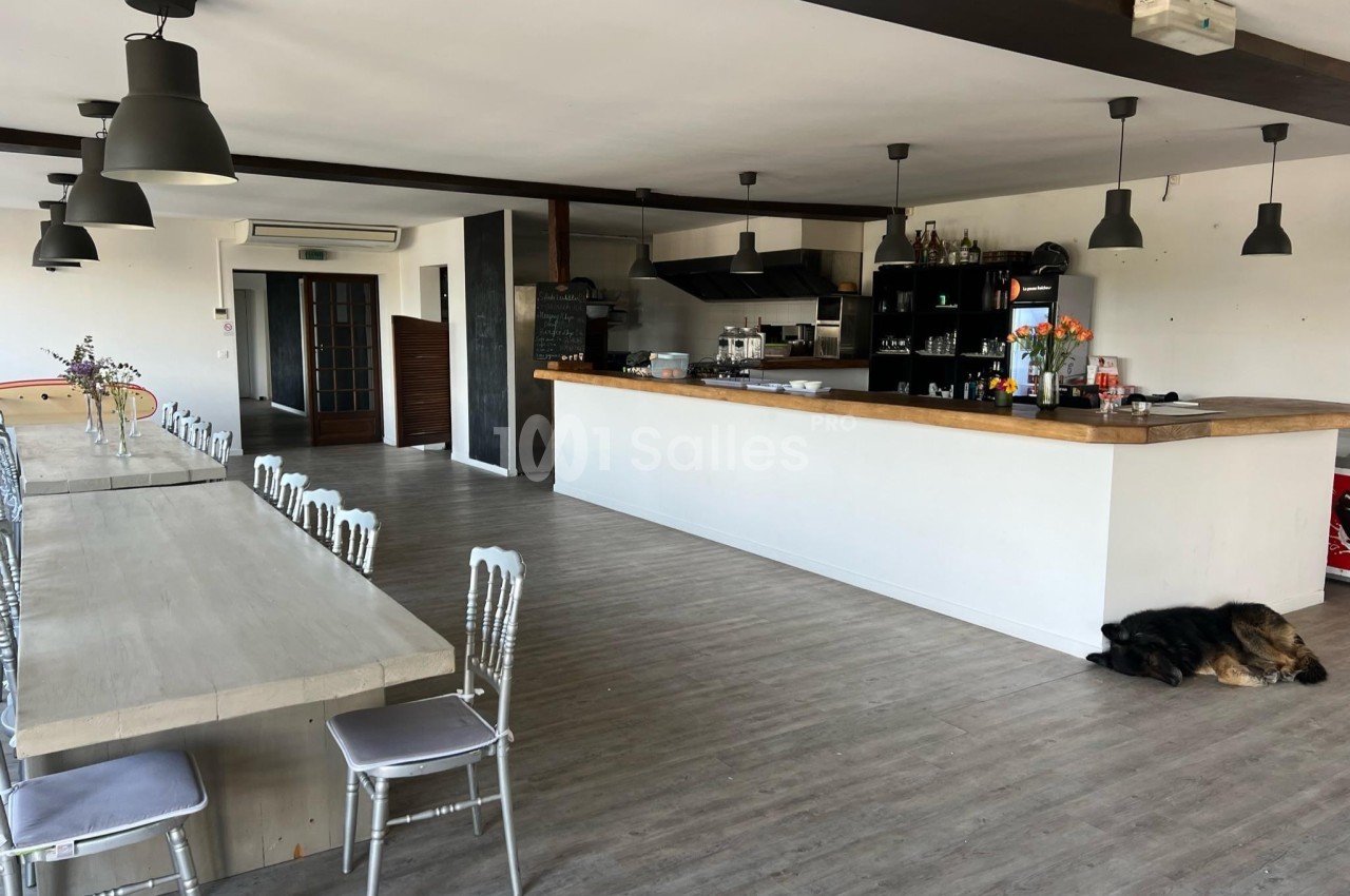 Salle lumineuse avec un long comptoir, des tables en bois, des chaises argentées et un chien couché près du bar.