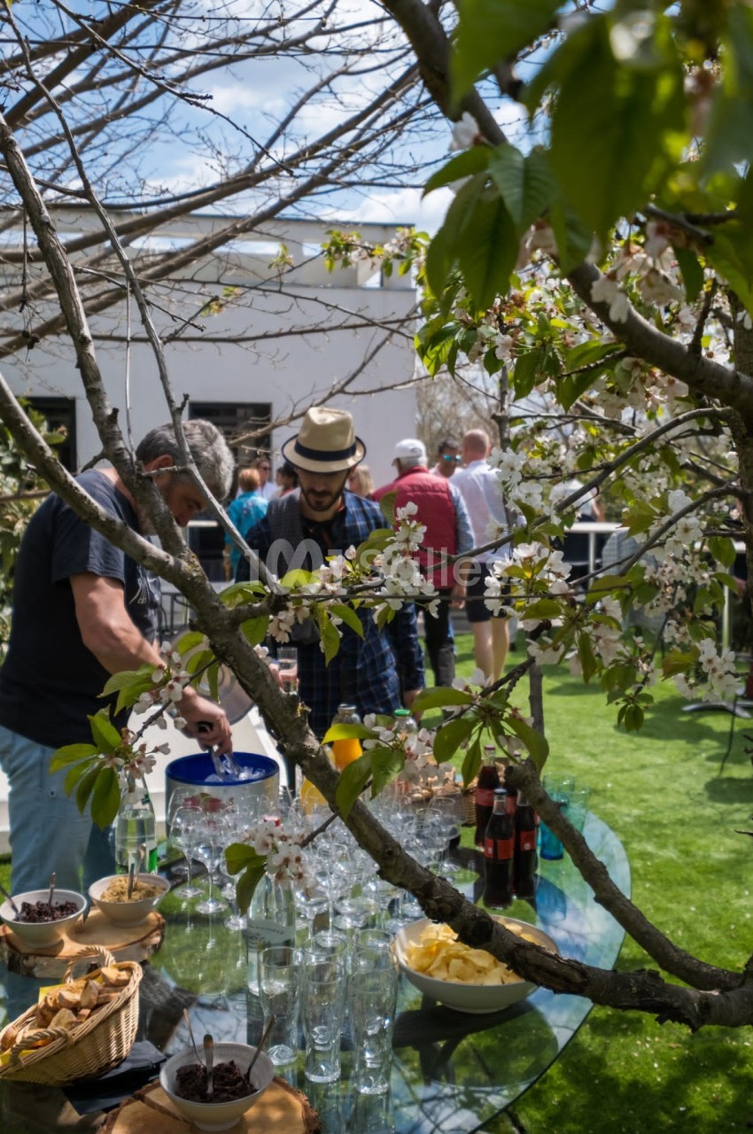 Des personnes se servent à une table garnie de boissons et snacks dans un jardin ensoleillé, entouré d'arbres en fleurs.