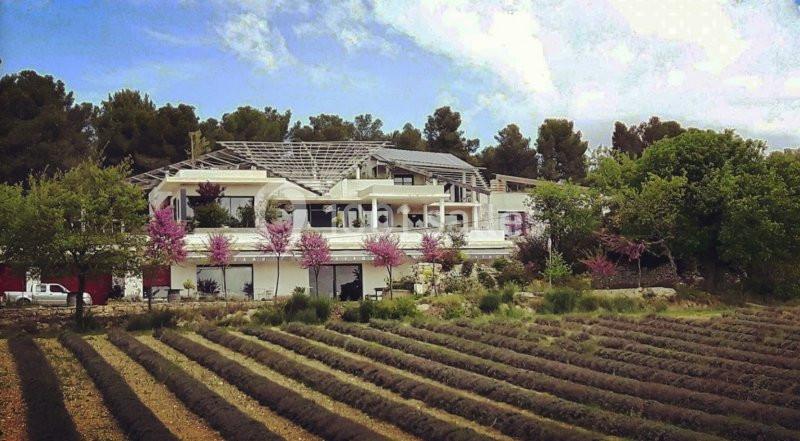 Grande maison moderne entourée d'arbres, avec un champ de lavande au premier plan sous un ciel partiellement nuageux.
