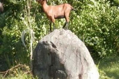 Le Haut Grain - photo 3