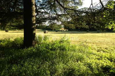 Location salle Saint-Marcel-Bel-Accueil (Isère) - Domaine de Chanille #32