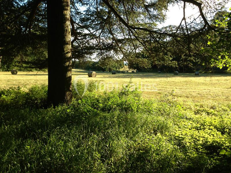 Location salle Saint-Marcel-Bel-Accueil (Isère) - Domaine de Chanille #10
