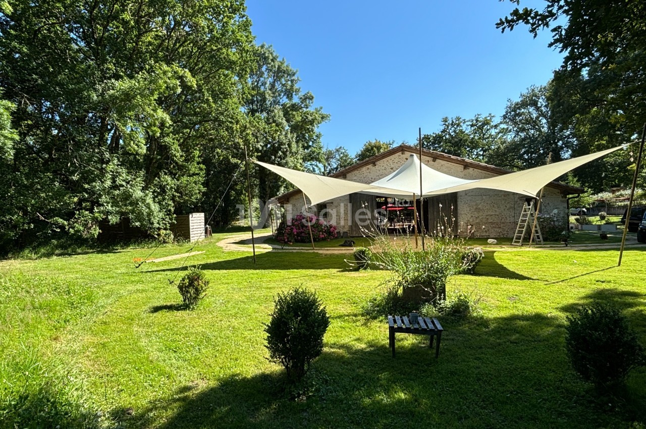 Le Chai De Montaulieu - galerie - photo 23