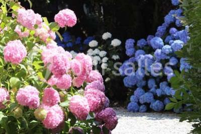 Miniature Location salle Pintac (Hautes-Pyrénées) - Villa Corina #9 Location salle Pintac (Hautes-Pyrénées) - Villa Corina #16