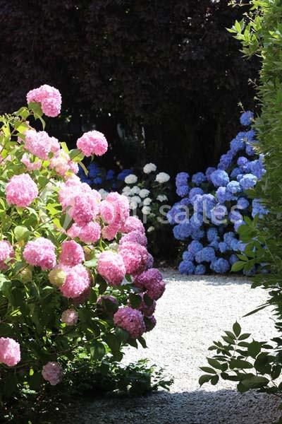 Villa Corina - galerie - photo 8