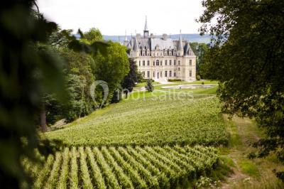 Château De Boursault - photo 1