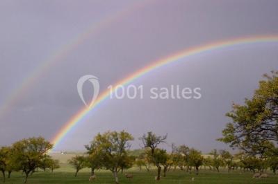 Miniature Location salle Vaudémont (Meurthe-et-Moselle) - L'ecurie Vaudémont #12 Location salle Vaudémont (Meurthe-et-Moselle) - L'ecurie Vaudémont #21