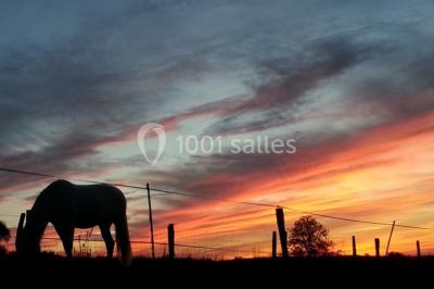 Miniature Location salle Vaudémont (Meurthe-et-Moselle) - L'ecurie Vaudémont #13 Location salle Vaudémont (Meurthe-et-Moselle) - L'ecurie Vaudémont #21