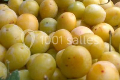 Miniature Location salle Vaudémont (Meurthe-et-Moselle) - L'ecurie Vaudémont #15 Location salle Vaudémont (Meurthe-et-Moselle) - L'ecurie Vaudémont #21