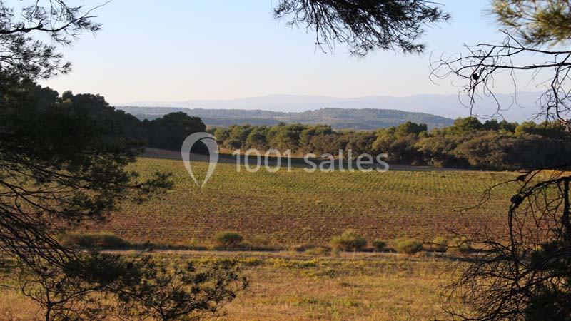 Location salle Lézignan-Corbières (Aude) - Les Hauts De Montrabech #4