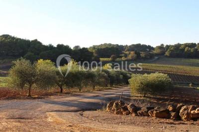 Location salle Lézignan-Corbières (Aude) - Les Hauts De Montrabech #11