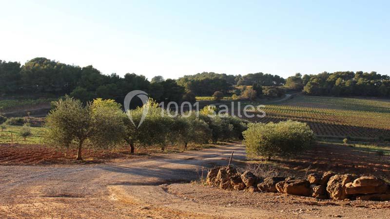Location salle Lézignan-Corbières (Aude) - Les Hauts De Montrabech #3