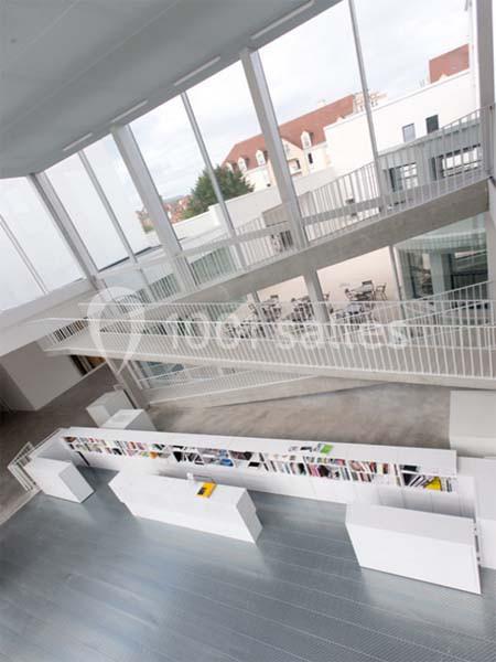 Le Consortium - galerie - photo 4