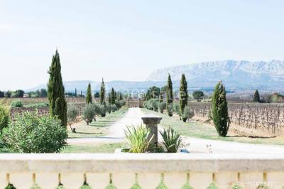 Allée bordée de cyprès et de vignes avec une vue sur une montagne en arrière-plan, sous un ciel clair.