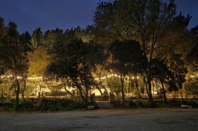Table de pique-nique en bois sur un sol de gravier, entourée d'arbres dans un cadre naturel.