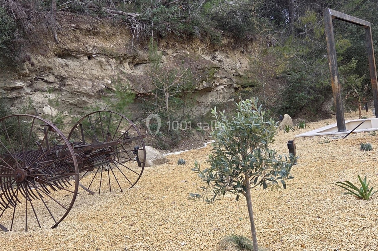 Vue d'un jardin sec avec un olivier, un ancien outil agricole en métal et un cadre en bois, entourés de gravier.