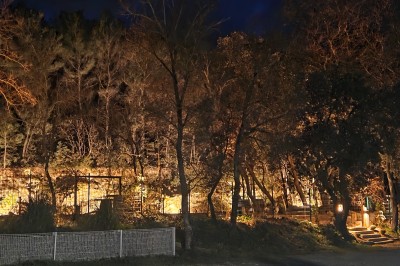 Clôture métallique devant un mur de pierre éclairé, entouré de végétation dans une ambiance nocturne.