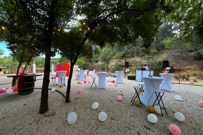 Miniature Location salle Loriol-du-Comtat (Vaucluse) - La Maelia #25 Espace extérieur décoré pour un événement avec tables hautes, ballons colorés et guirlandes lumineuses sous des arbres.