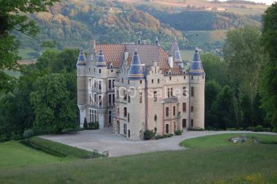 Château De Pupetières - photo 5