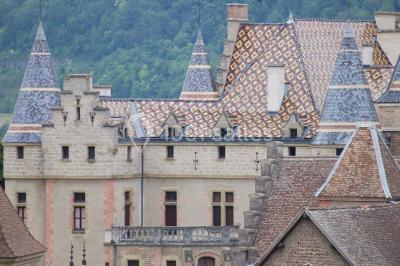 Château De Pupetières - photo 4