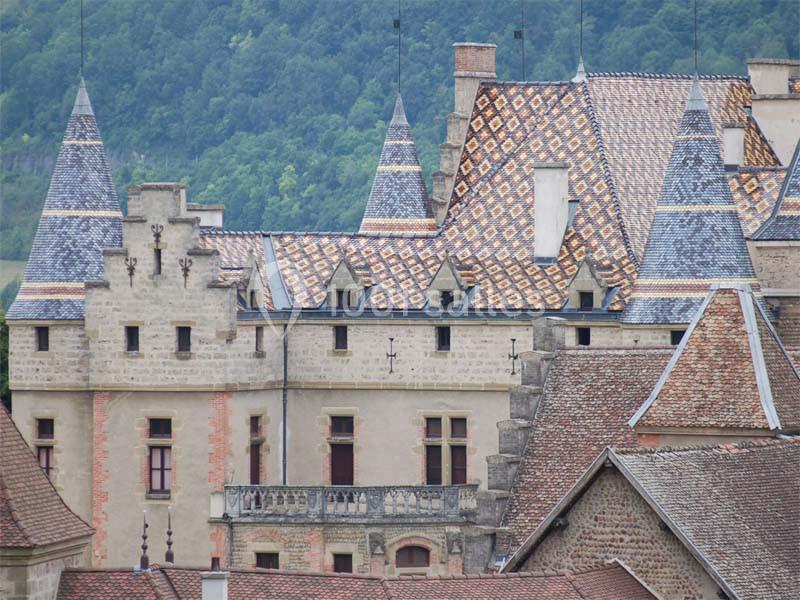 Château De Pupetières - galerie - photo 4