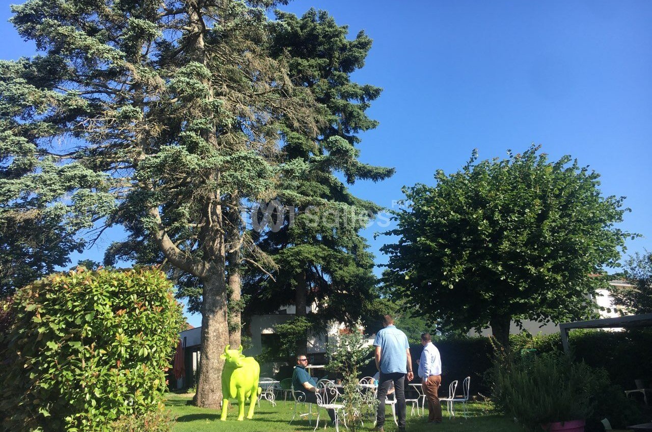 Des arbres centenaires