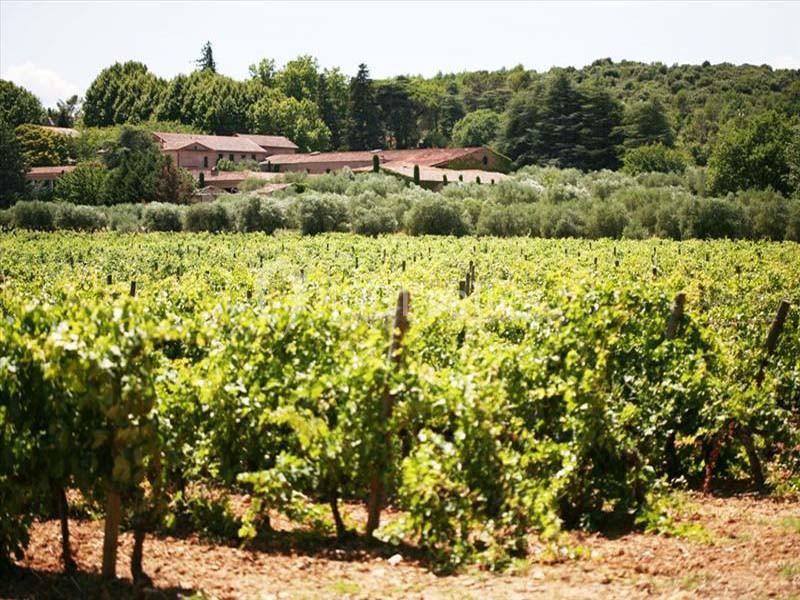 Location salle Taradeau (Var) - Château Sainte Roseline #10