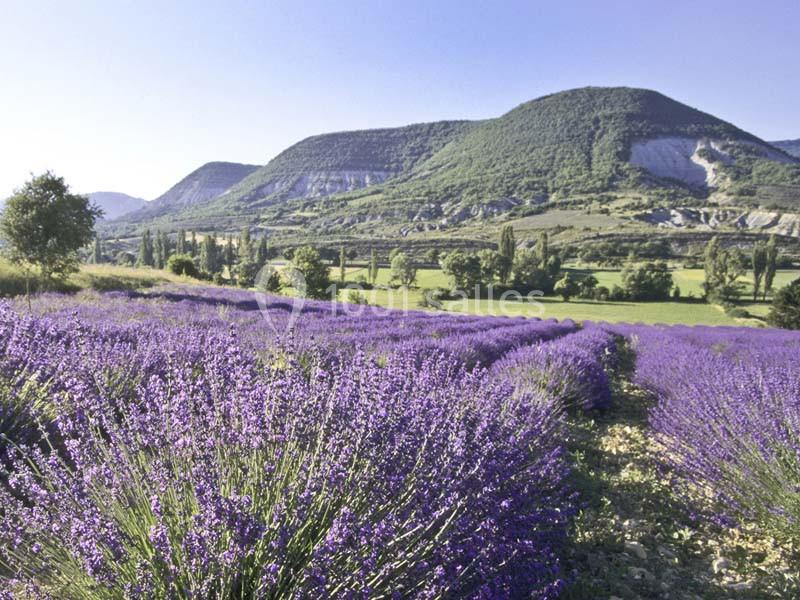Domaine de Blacons - galerie - photo 21