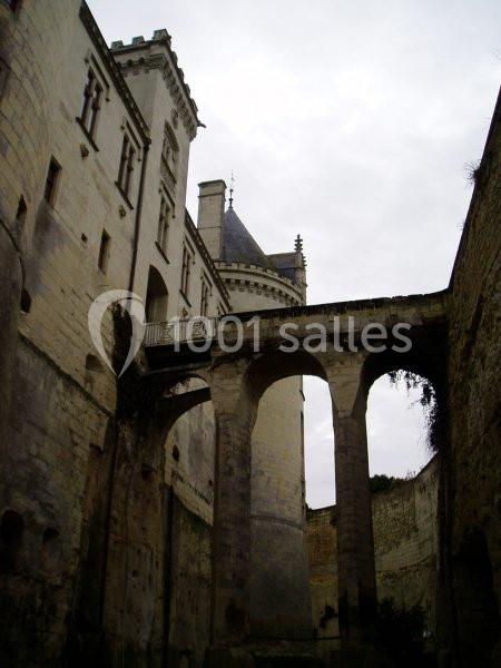 Location salle Brézé (Maine-et-Loire) - Château De Brézé #12