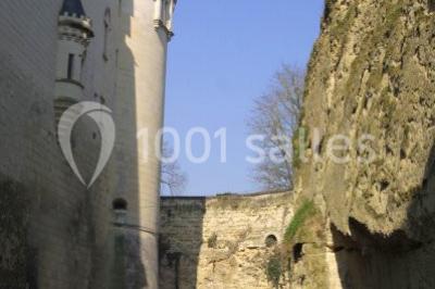 Miniature Location salle Brézé (Maine-et-Loire) - Château De Brézé #11 Location salle Brézé (Maine-et-Loire) - Château De Brézé #22