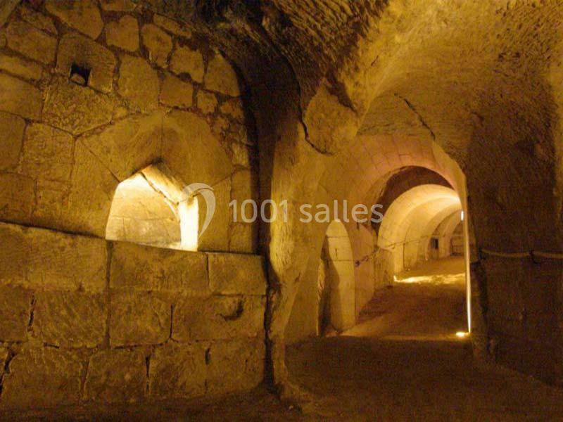 Location salle Brézé (Maine-et-Loire) - Château De Brézé #17