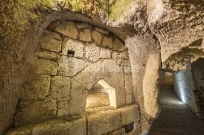 Miniature Location salle Brézé (Maine-et-Loire) - Château De Brézé #19 Location salle Brézé (Maine-et-Loire) - Château De Brézé #22