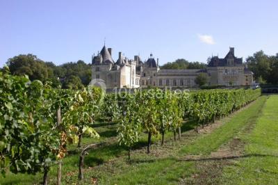 Château De Brézé - photo 2