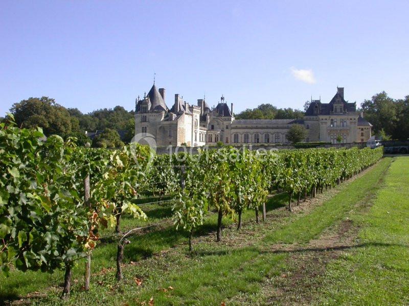 Château De Brézé - galerie - photo 2