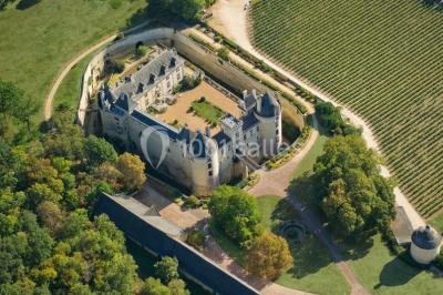 Château De Brézé - photo 1