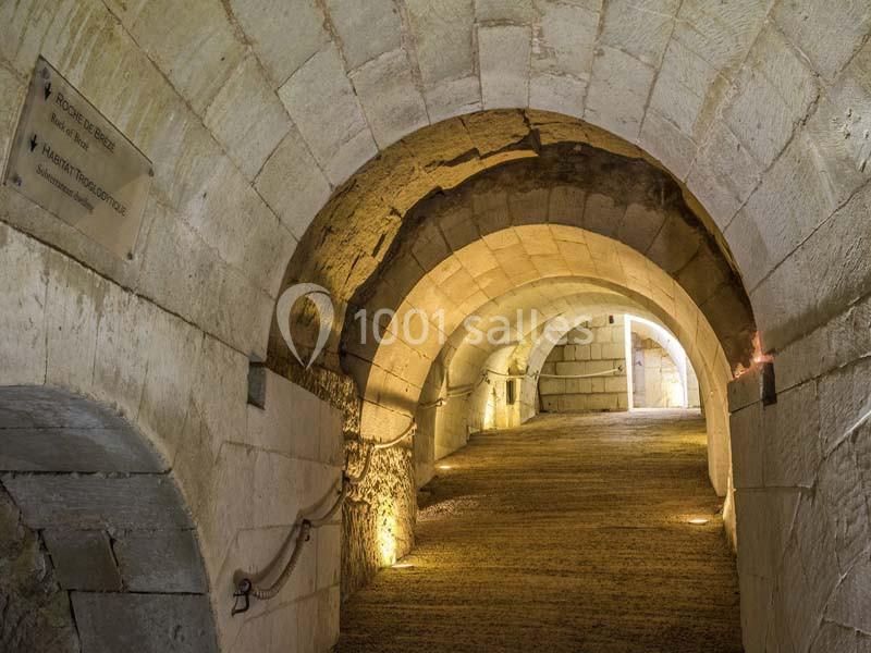 Château De Brézé - galerie - photo 15