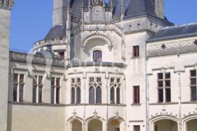 Château De Brézé - photo 5