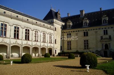 Château De Brézé - photo 4