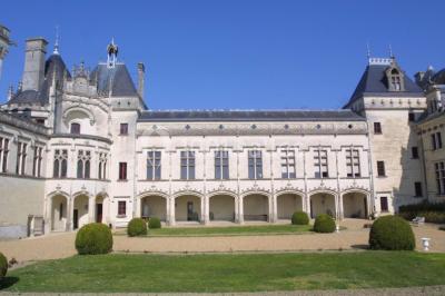 Château De Brézé - photo 3