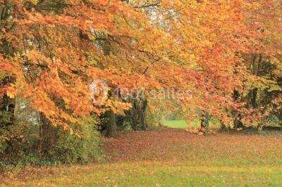 Miniature Location salle Plachy-Buyon (Somme) - Le Moulin de Plachy #12 Location salle Plachy-Buyon (Somme) - Le Moulin de Plachy #32