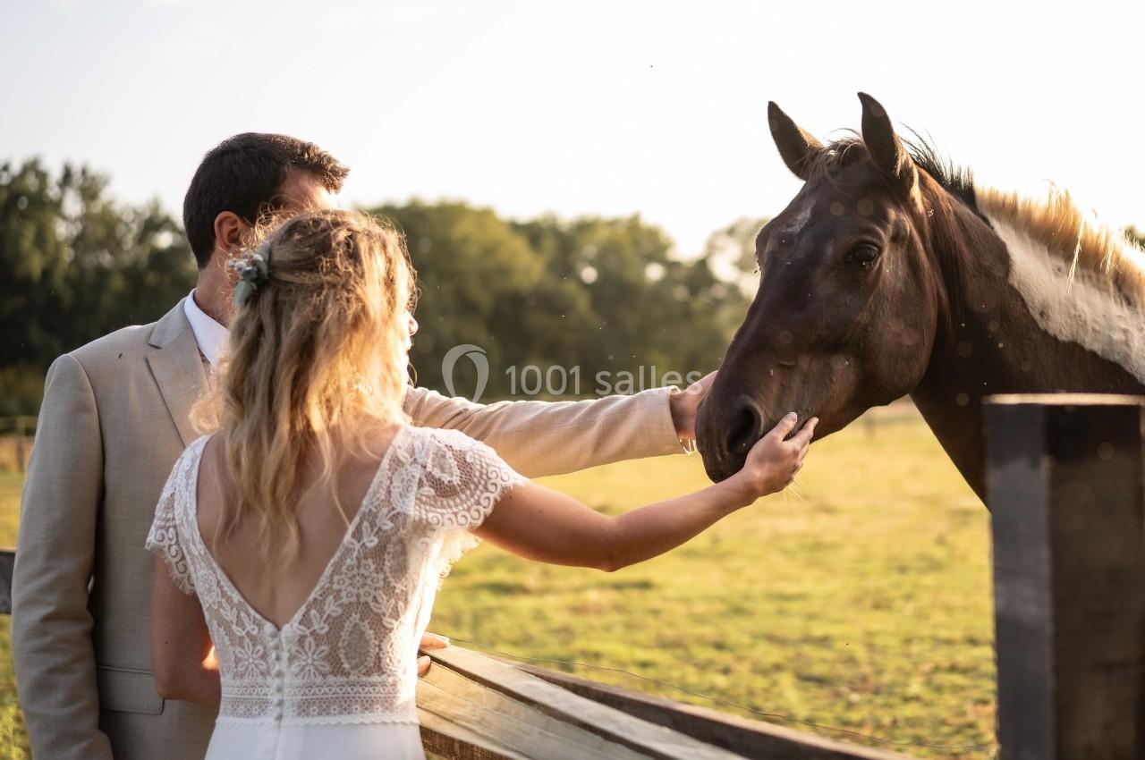 Un couple en tenue de mariage caresse un cheval près d'une clôture dans un champ au coucher du soleil.