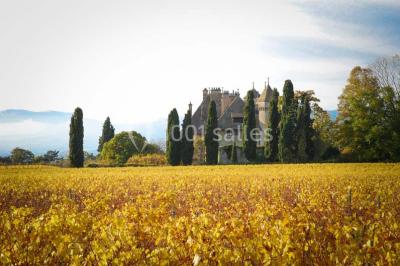 Château De Ripaille - photo 2