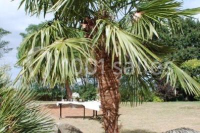 Miniature Location salle La Romagne (Maine-et-Loire) - Espace Galerne #3 Location salle La Romagne (Maine-et-Loire) - Espace Galerne #20