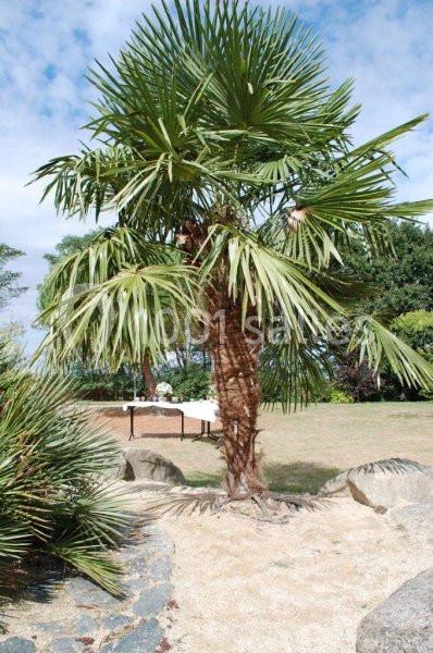 Location salle La Romagne (Maine-et-Loire) - Espace Galerne #3