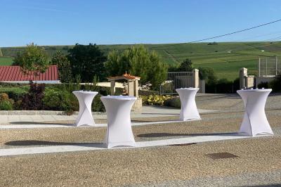 Miniature Location salle Baslieux-sous-Châtillon (Marne) - Salle Martins #35 Location salle Baslieux-sous-Châtillon (Marne) - Salle Martins #35